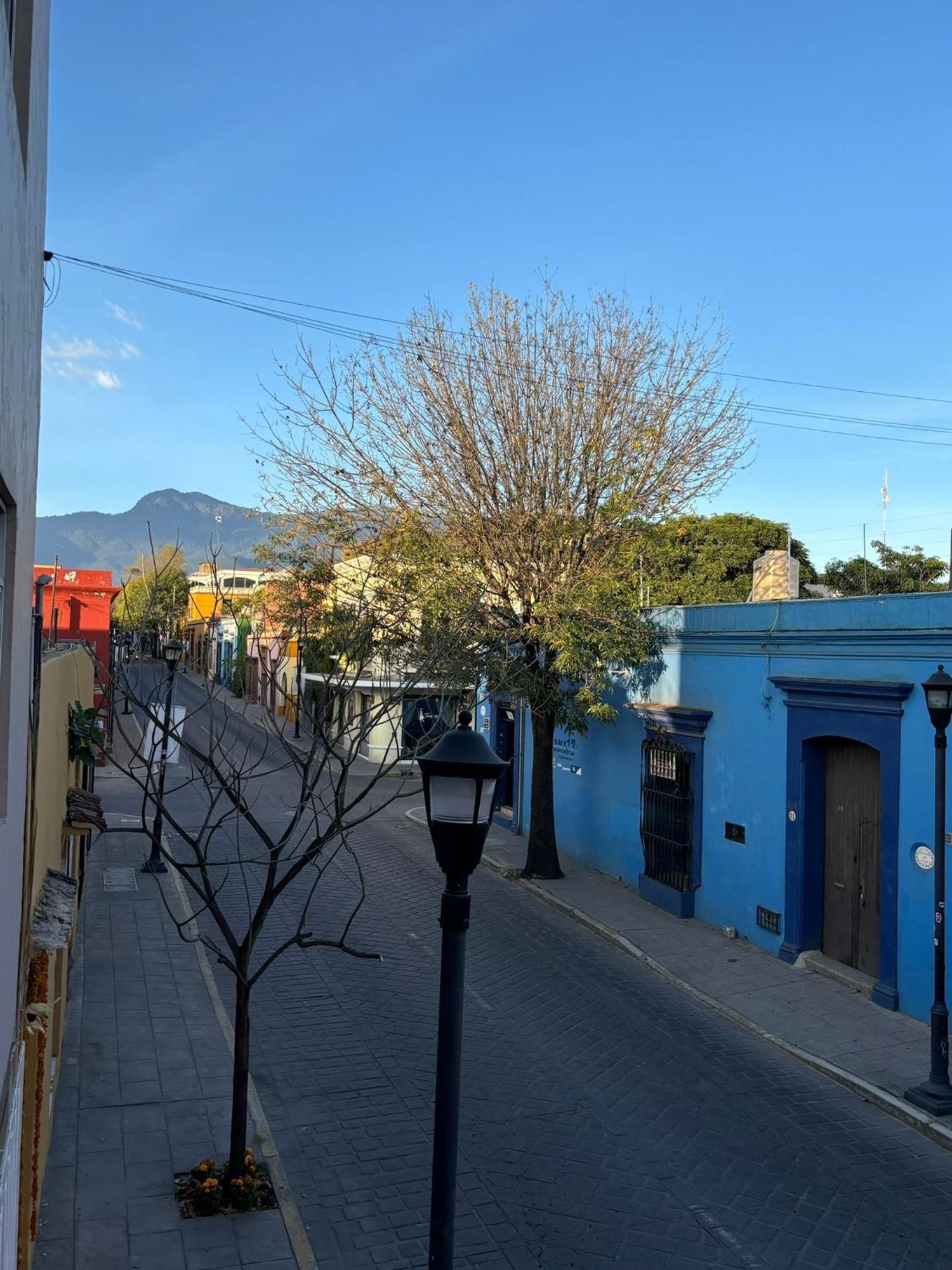 Apartamento Departamento En El Centro De Oaxaca Exterior foto